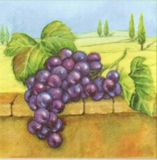Trauben aus der Toskana