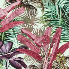 tropische Palmen