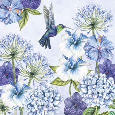Hibiskus, Allium und andere prächtige Blumen werden vom Kolibri besucht