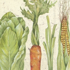 Frisches Gemüse, Maiskolben, Lauch, Möhre und Salat