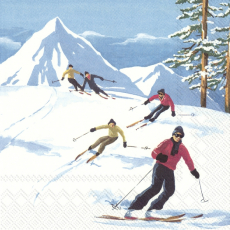 Ski Abfahrt