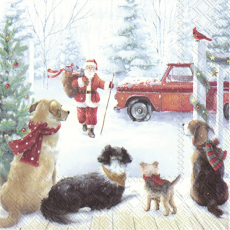 Der Weihnachtsmann kommt mit Geschenkesack zu den 4 Hunden
