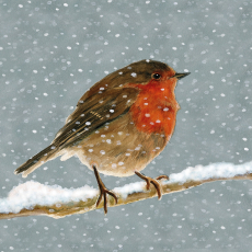 Kleines Rotkehlchen sitzt auf einen Ast im Schnee