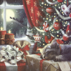 Kätzchen liegt unter dem Weihnachtsbaum am Fenster und verpasst den Weihnachtsmann