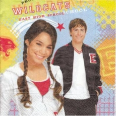 HSM - High school musical - Wildcats
