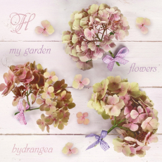 Hortensienblüten mit Schleifchen