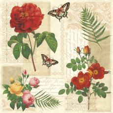 Zwei Schmetterlinge ,Farn und eine kleine Rosenauswahl
