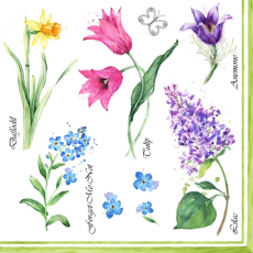 Wunderschöne Blütenauswahl Herbarium