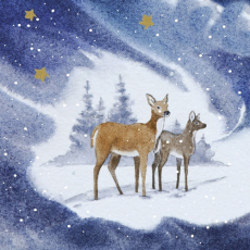 Zwei Rehe in einer verschneiten Sternennacht