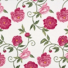 Rosenranke rose - Rose tendril - Sarment de roses