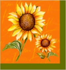 2 hübsche Sonnenblumen - 2 sunflowers