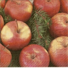 Äpfel - Apples - Pommes