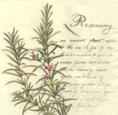 Rosmarin - Rosemary