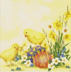 Küken, Ostereier & Frühlingsblumen - Poussins, oeufs de Pâques & fleurs de printemps - Fledglings, Easter eggs & spring flowers -