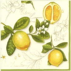 Zitronen - Citrus Limonum
