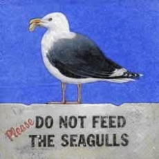 Bitte die Möwen nicht füttern - Do not feed the seagulls