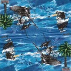 Piratenbeschuß - Pirate fight