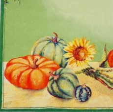 10 Kürbisse & 3 Sonnenblumen - 10 Pumpkins & 3 Sunnflowers