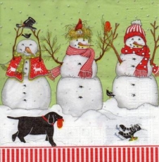 Lustige Schneemänner, Vögel & 1 Hund - Funny snowmen, birds and a dog