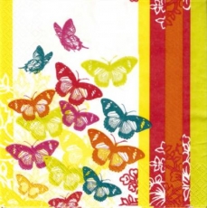 Bunte Schmetterlinge - Colourful butterflies