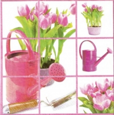 Tulpen & Gießkannen - Tulips & Watering cans - Tulipes et arrosoirs