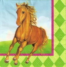 Hübsches Pferd - Beautiful Horse - Cheval joli