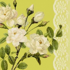 Weiße Rosen & Spitze grün - White Roses & Lace - Roses blanches & dentelle