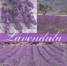 Lavendelfelder  - Lavender fields - Champs de lavande