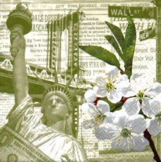 New York, Freiheitsstatue, Brooklyn Brücke, Dollar, Wall Street, Obstblüte - Statue of Liberty, Brooklyn bridge, spring blossom