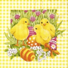 3 Küken auf einer Osterwiese - 3 Chicks on an  Easter meadow -  Poussins de Pâques