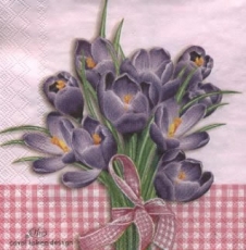 Krokusstrauß Rosé - Crocus bouquet