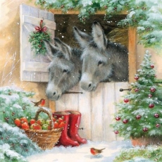 Esel & Rotkehlchen an Santas Stall - Donkeys & robins at Santas barn - ânes & Robins sur la grange du Père Noël