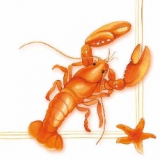 Hummer - Lobster  - Homard