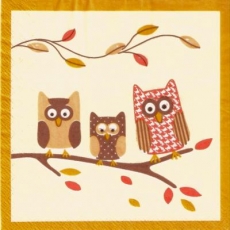 Eulenfamilie auf Ast - Family owls on branch - Les oiseaux de la famille sur la branche