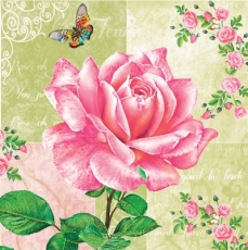 Rosen & Schmetterlinge - Roses & Butterflies - Roses & Papillons