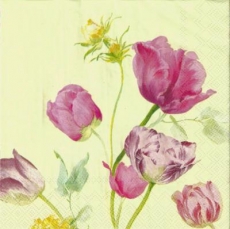 Bunte Tulpen - Colorful tulips - Tulipes colorées