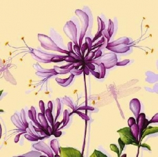 Geißblatt, Lilien & Libellen - Lily & Dragonfly - Lily & libellule