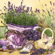 Lavendeltraum - Lavender dream - Rêve de lavande