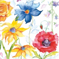 Bunte Blumenwelt - Colourful world of flowers - Monde coloré de fleurs