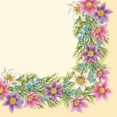 Blumen-Rahmen - Flower Frame - Cadre de fleurs