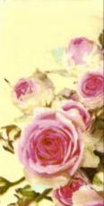 Rosa Rosen - Pink Roses - Roses