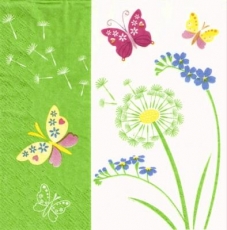 Schmetterlinge an Pusteblume, Löwenzahn - Butterflies on dandelion - Papillons sur pissenlit