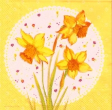 Wunderschöne Narzissen auf Blümchendecke gelb - Beautiful daffodils on flower ceiling - Belles jonquilles sur le plafond