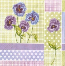 Wunderschöne Veilchen - Beautiful violets - Belles violettes