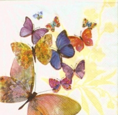 Bunte Schmetterlinge weiß - Butterflies - Flying magic - Papillons