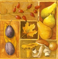 Leckere Gaben des Herbstes - Delicious gifts of autumn - Cadeaux délicieux de lautomne