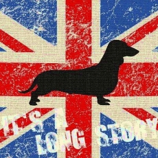 Hund / Dackel auf britischer Flagge - Dog / dachshund on British Flag, Long story - Chien / teckel sur le drapeau britannique