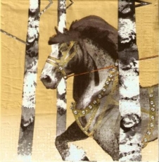 Kräftiges Pferd zwischen Bäumen - Strong horse between trees - Forte cheval entre les arbres