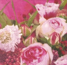 Blumenpracht in pink - Flowers in pink - Fleurs en rose
