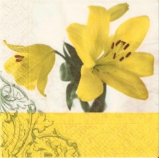 Wunderschöne Lilien in gelb - Beautiful lilies in yellow - Beaux lis en jaune